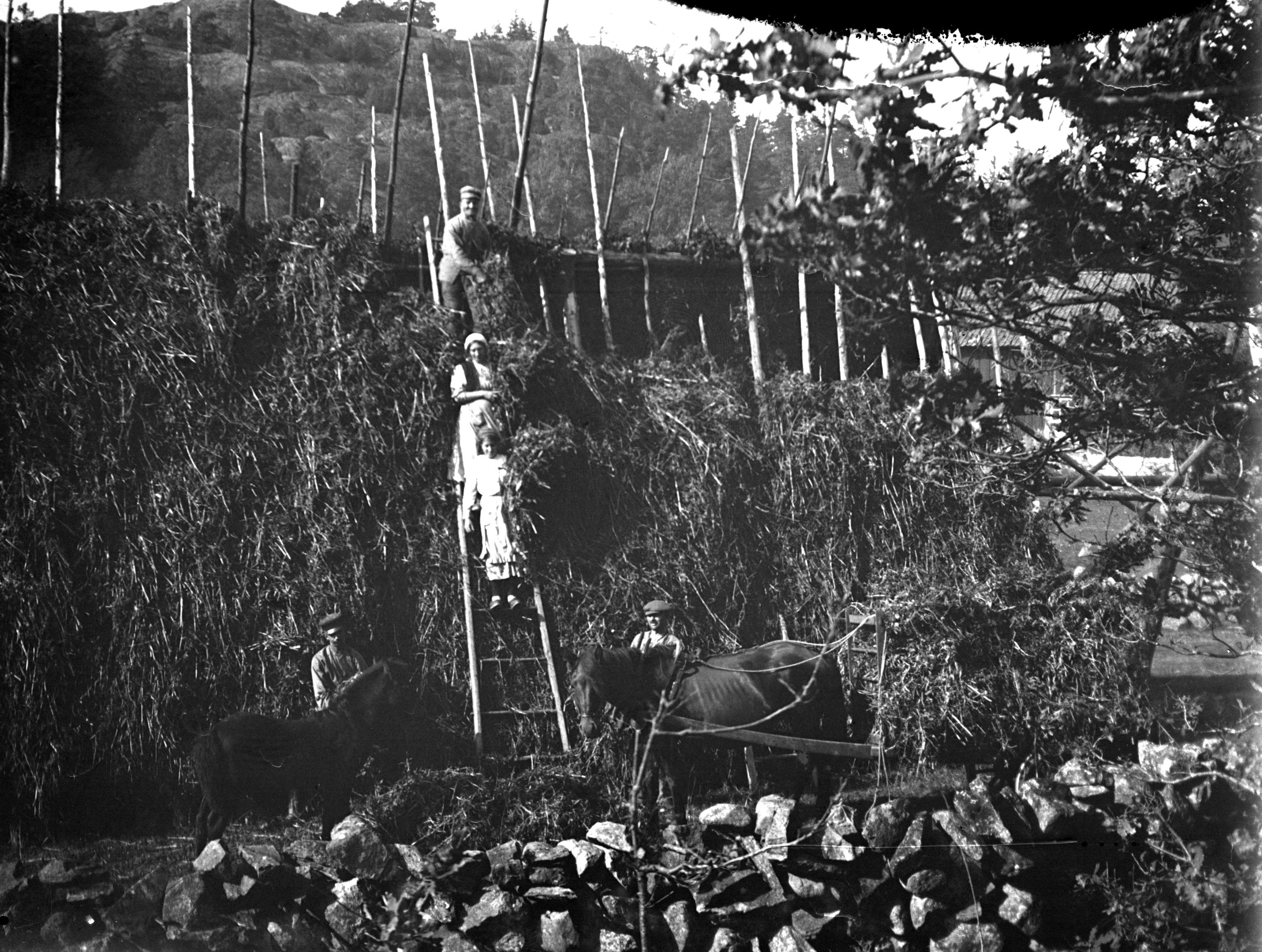 Man krakar böner i Sörgård