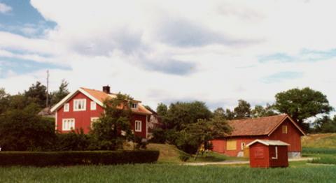 Mellangård, Stora Askerön